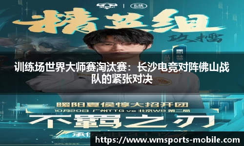 完美体育官网